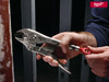 Milwaukee Hand Tools - TORQUE LOCK Curved Jaw Locking Pliers 254mm (10in)