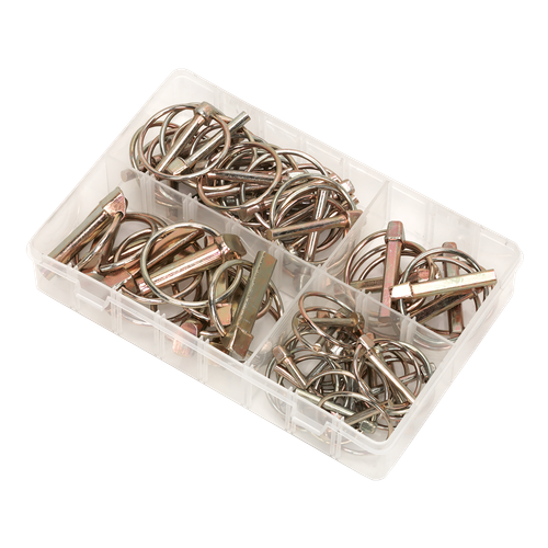 Linch Pin Assortment 50pc
