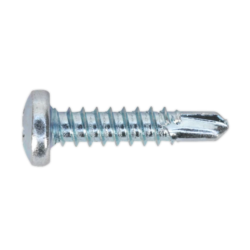 Zinc Plated Self-Drilling Pan Head Phillips Screw Assortment 500pc