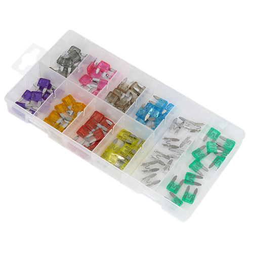 Automotive MINI Blade Fuse Assortment 100pc