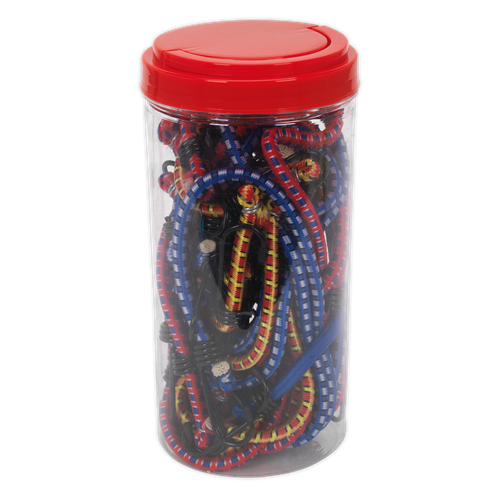 Bungee Cord Set 20pc