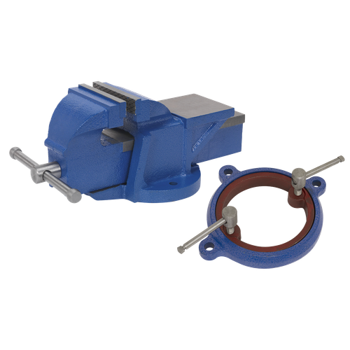 Professional Heavy-Duty Vice 100mm with Swivel Base