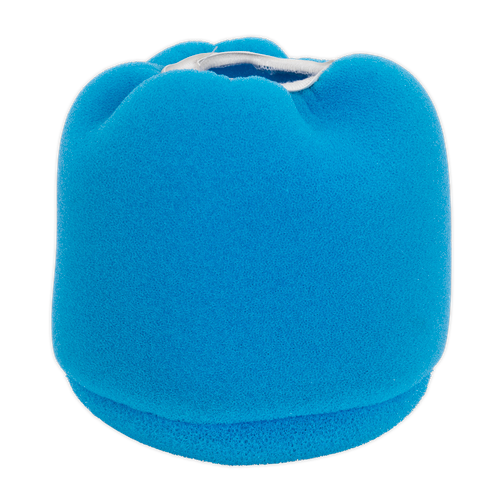 Foam Filter