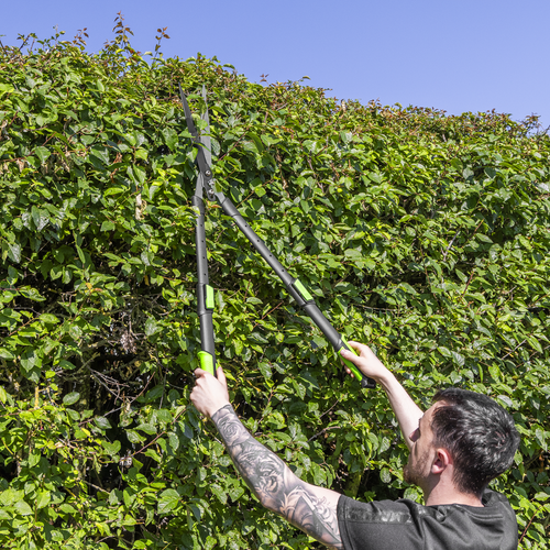 Telescopic Hedge Shears with Soft Grip Handle & Carbon Steel Blade