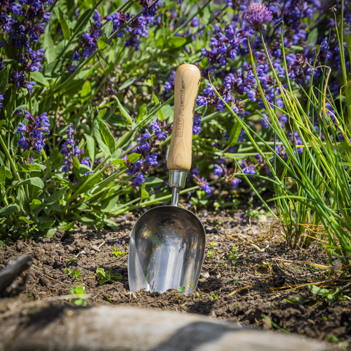 Premier Garden Scoop with Ash Handle & Stainless Steel Head