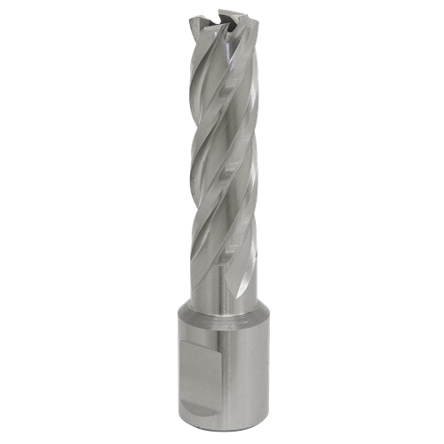 Worksafe® 14mm HSS Mag Drill Bit Cut Depth 50mm