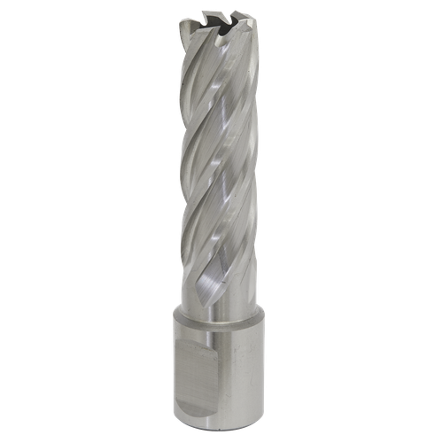 Worksafe® 16mm HSS Mag Drill Bit Cut Depth 50mm