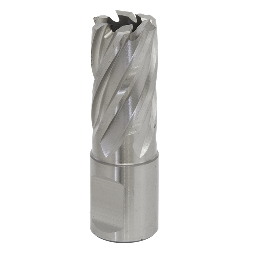 Worksafe® 18mm HSS Mag Drill Bit Cut Depth 25mm