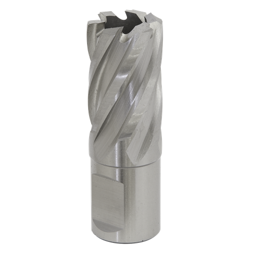 Worksafe® 20mm HSS Mag Drill Bit Cut Depth 25mm