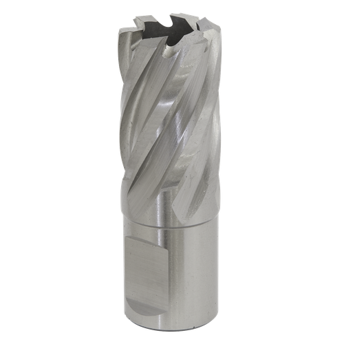 Worksafe® 21mm HSS Mag Drill Bit Cut Depth 25mm