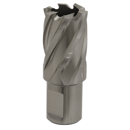 Worksafe® 23mm HSS Mag Drill Bit Cut Depth 25mm