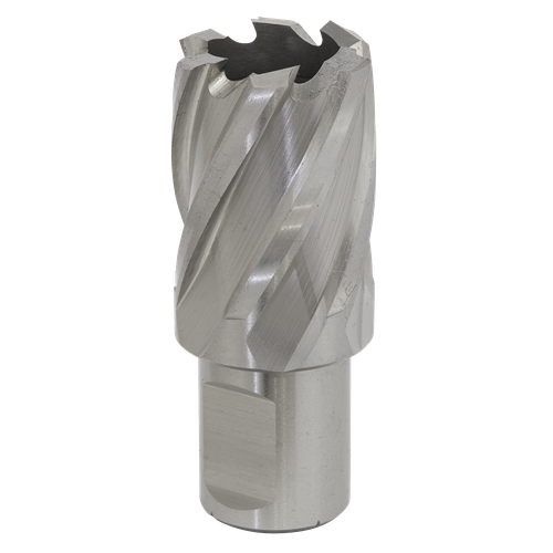Worksafe® 28mm HSS Mag Drill Bit Cut Depth 25mm