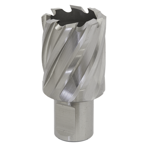 Worksafe® 30mm HSS Mag Drill Bit Cut Depth 25mm