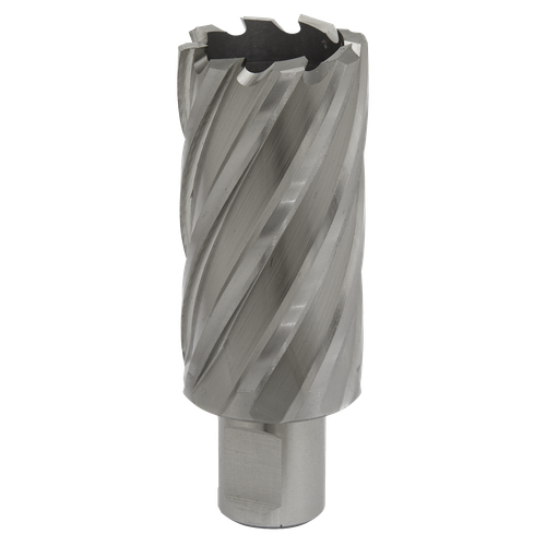 Worksafe® 32mm HSS Mag Drill Bit Cut Depth 50mm