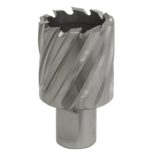 Worksafe® 34mm HSS Mag Drill Bit Cut Depth 25mm