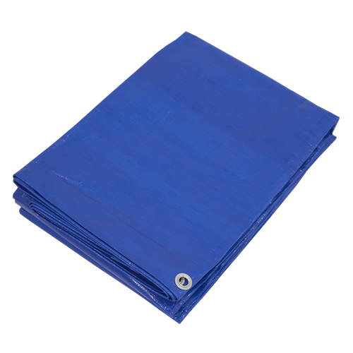 Lightweight PE Tarpaulin 5.49 x 7.32m - Blue