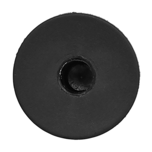 Locking Nut 20mm x 20mm, Toyota/Lexus - Pack of 20