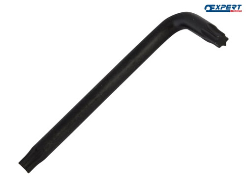 Expert - Torx Hexagon Key T25