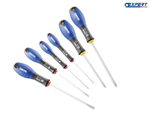 Expert - Screwdriver Set 6 Piece SL/PH
