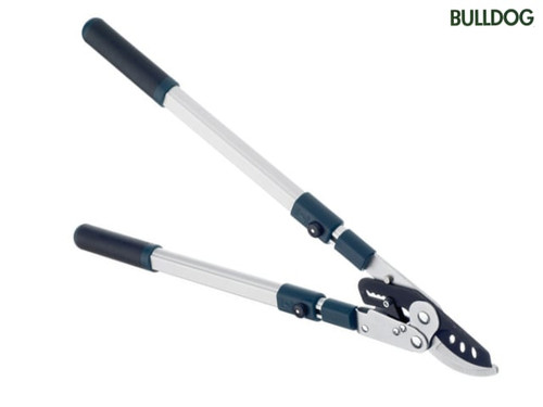 Bulldog - BD3113TW Evergreen Bypass Lopper - Extending