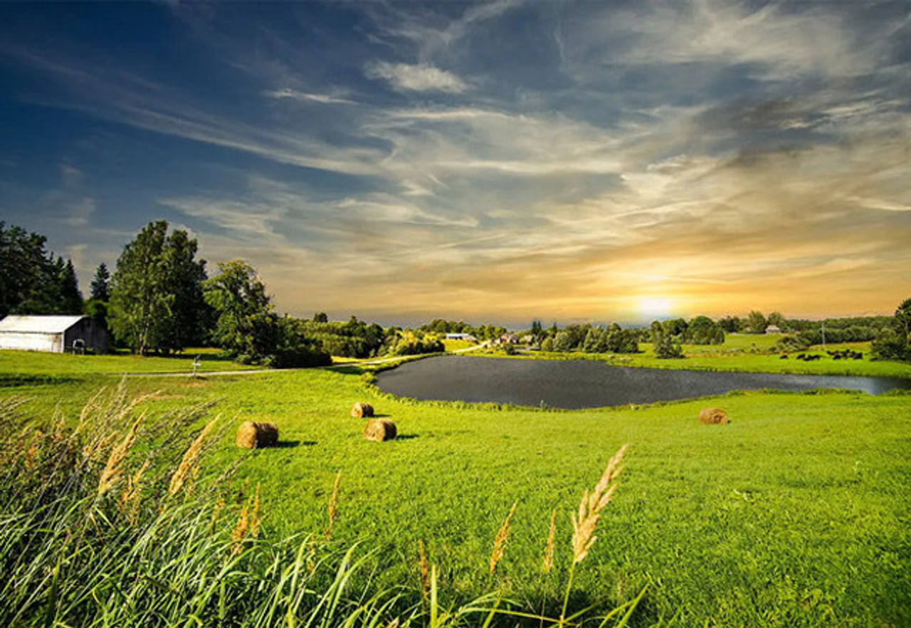 Lake and Farm Pond Supplies