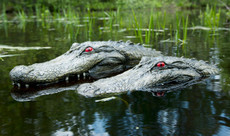 Floating Alligator Predator Decoy for Pond & Water Gardens