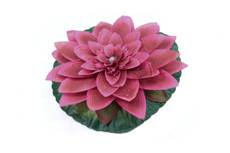 Green Vista Jumbo Silk Water Lily Choose Your Color