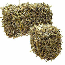 Green Vista Jumbo Natural Barley Pond Straw Bales