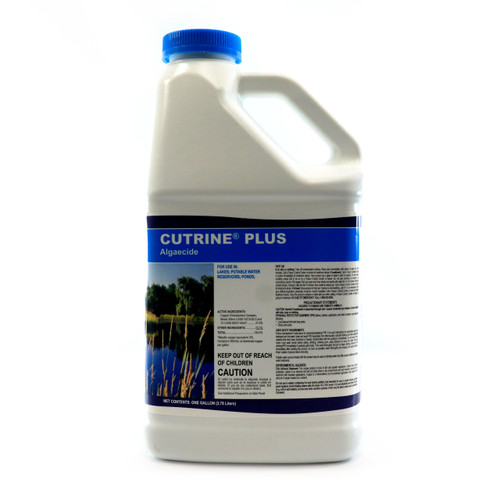 Cutrine Plus Algaecide - 1 Gallon 