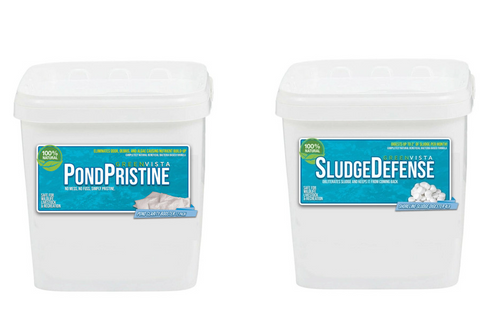 Pond Pristine and Sludge Defense: Our Clear Water Heroes!