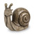 Front View of Snail