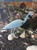 Blue Heron Decoy in use