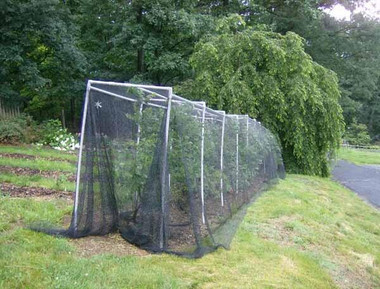 Green Vista Deluxe Bird Barrier Netting | Small 3/8 Mesh Nets