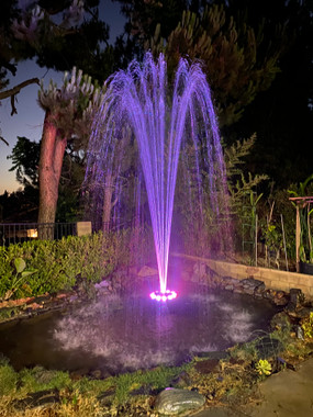 Ocean Mist Professional LED Ring Light for Large Fountains - Pond and  Garden Depot