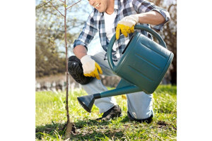 Professional Knee Supports - 2pair