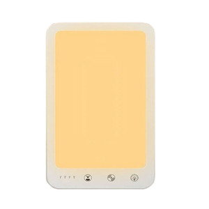 Light Therapy Lamp - 10000 Lux Natural Daylight Simulation with Adjustable Brightness Timer & USB-C Power Bank