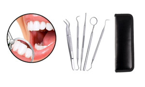 ICB Dental Tools Kit 5 Pcs Oral Care Dental Pick Hygiene Set