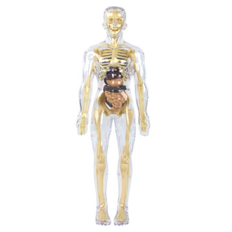 3D Human Body Skeleton