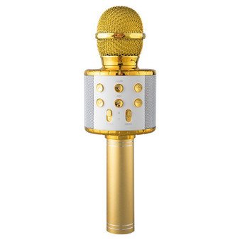 Wireless Karaoke Microphone without Lighting Wireless Karaoke Microphone without Lighting