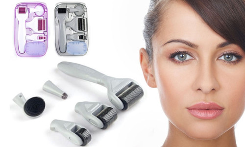 6 in 1 Derma Roller Set Face Microneedle Roller