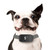 Rechargeable Anti Bark Dog Training Collar with Smart Bark Detection, Adjustable Modes and USB Charging