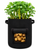 Potato Grow Bag - 4packs - Durable Flexible Reusable Breathable - Perfect for planting Potatoes Radish Carrots Onions and more