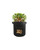 8-Pack Potato Grow Bags 7 Gallon Fabric Planter Pots with Access Harvest Window Flap Breathable Smart Pots