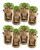 8-Pack Potato Grow Bags 7 Gallon Fabric Planter Pots with Access Harvest Window Flap Breathable Smart Pots