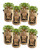 8-Pack Potato Grow Bags 7 Gallon Fabric Planter Pots with Access Harvest Window Flap Breathable Smart Pots
