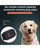 Rechargeable Smart Dog Bark Collar, Waterproof Automatic Anti-Bark Training Collar with Beep and Vibration