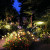 Glowing Firefly Solar Decorations – Magical Outdoor Yard Garden Lights