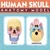 STEM Skull Anatomy Model – Educational Science Specimen Toy for Classroom, Study & STEM Learning