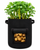 4 Pack Potato Grow Bags - Planting Pots with Handles for Vegetables Garden Growing