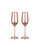 Stainless Steel Champagne Glasses 2-Pack - 200ml Durable Flutes